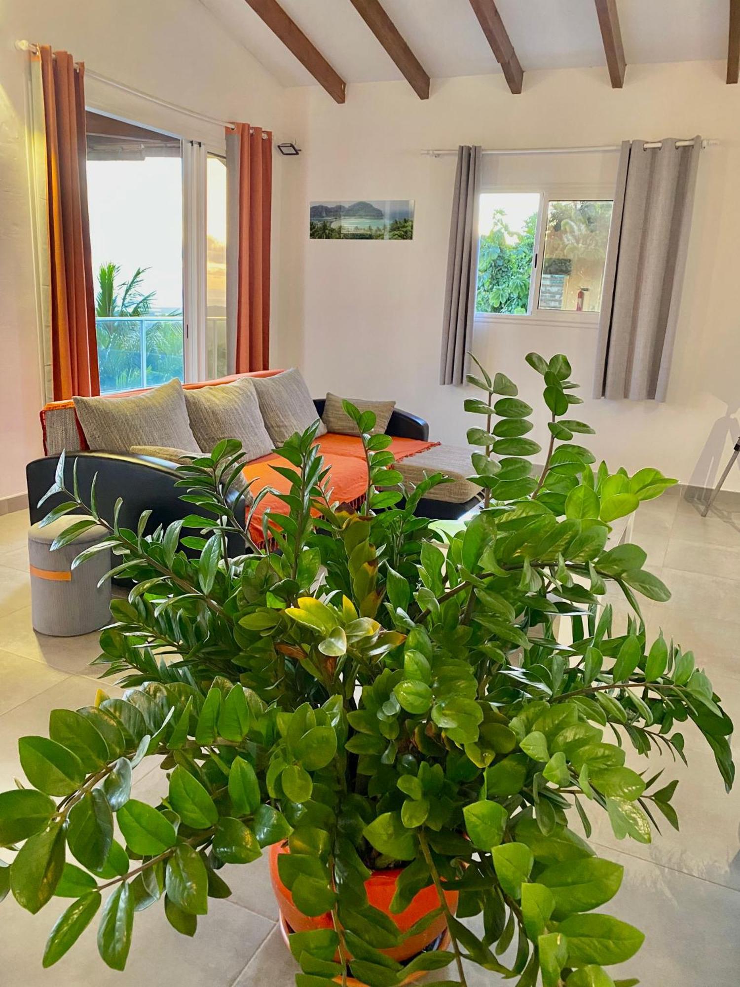 Les Villas Pameyaque 2 F2 Avec 1 Piscine Et 1 F3 Avec 1 Piscine, Superbe Vue Sur La Mer Riviere-Salee Zewnętrze zdjęcie